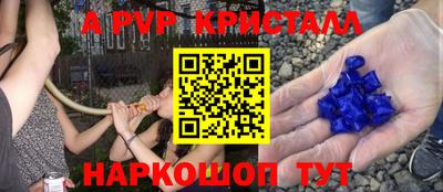 спиды Дубна