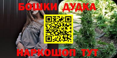 спиды Дубна