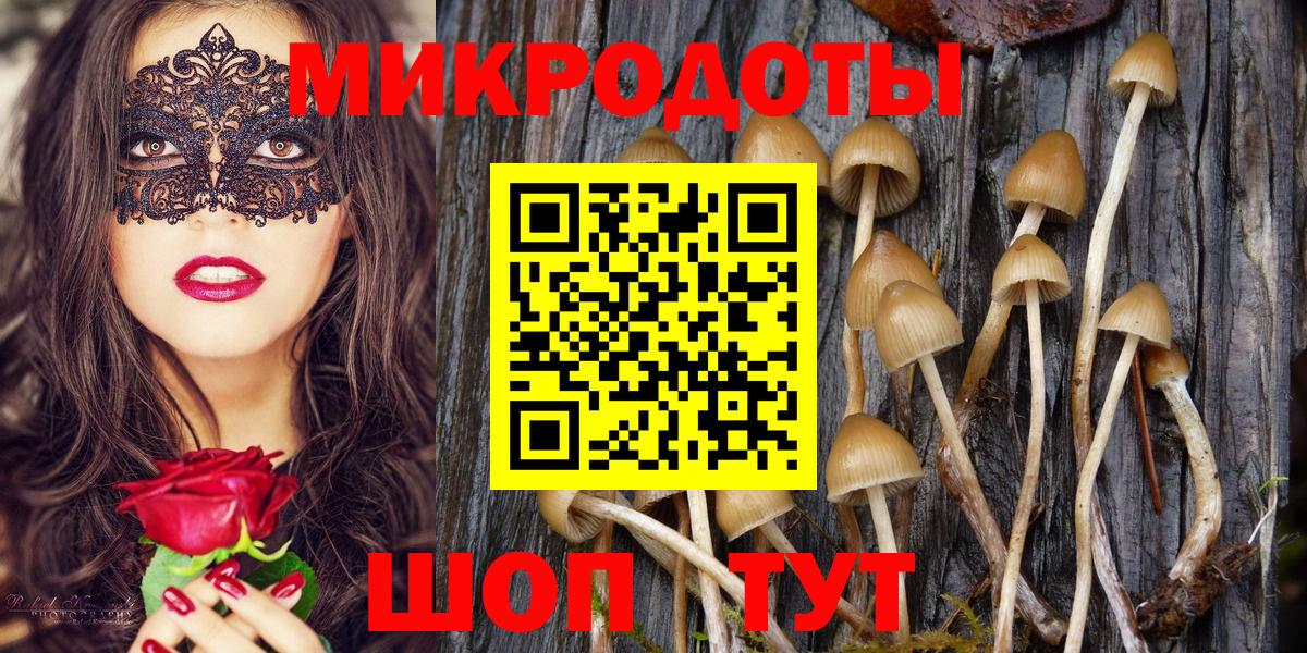 Галлюциногенные грибы прущие грибы  Псилоцибиновые грибы прущие грибы  Сунжа  наркотики  Вход с VPN 