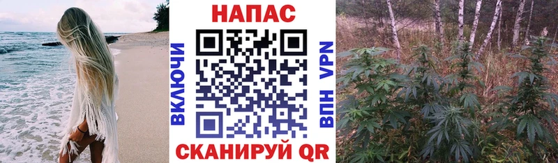 Бошки марихуана Bruce Banner  Сунжа 